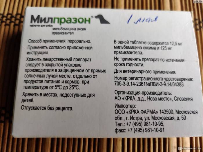 Милпразон для кошек