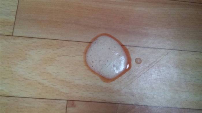 Собаку рвет слизью лечение