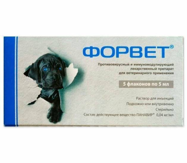 Форвет для собак: инструкция по применению с дозировкой, побочными эффектами, показаниями и аналогами