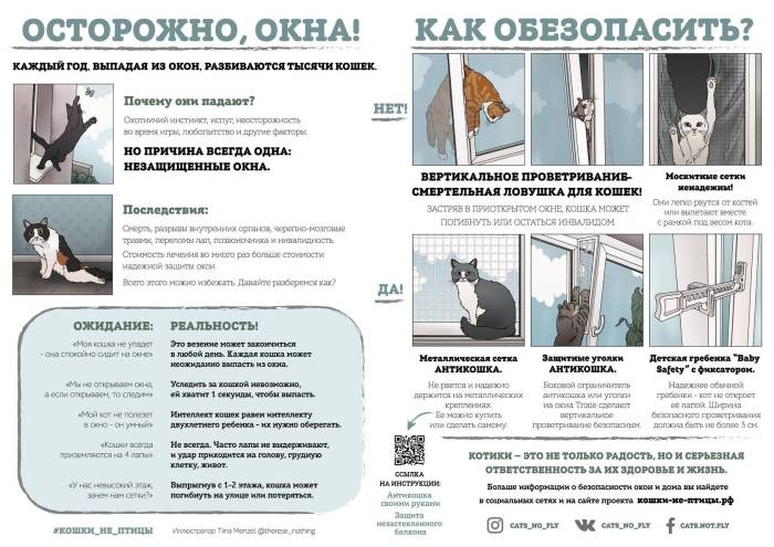 Кот выпал из окна? - советы специалистов, что делать