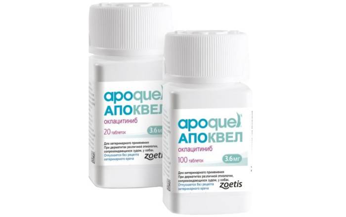 Апоквел для собак: инструкция по применению с дозировкой, побочными эффектами и противопоказаниями. как долго пить, есть ли привыкание, что делать, если не помогает?