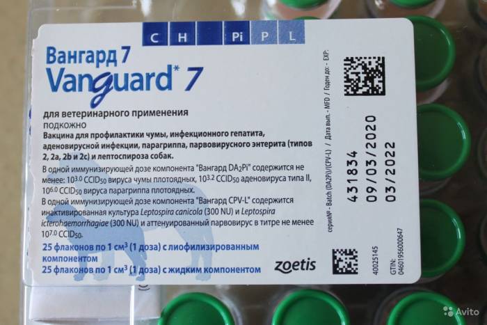 Вангард 5 для собак