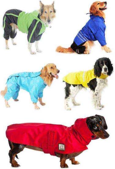 Дождевик для собаки своими руками