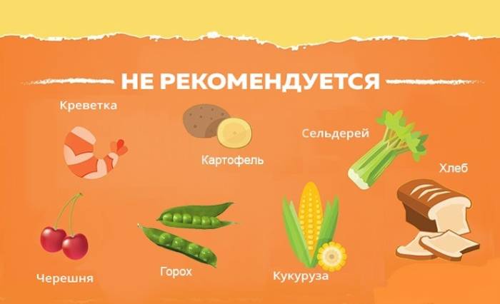 Что можно есть после пищевого отравления — список продуктов