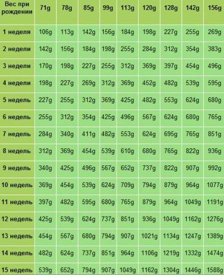 Вес чихуахуа по месяцам