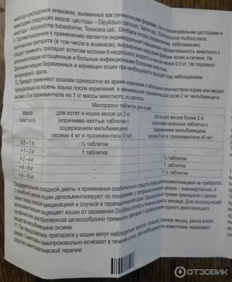 Милпразон для кошек: инструкция по применению, аналоги, дозировка