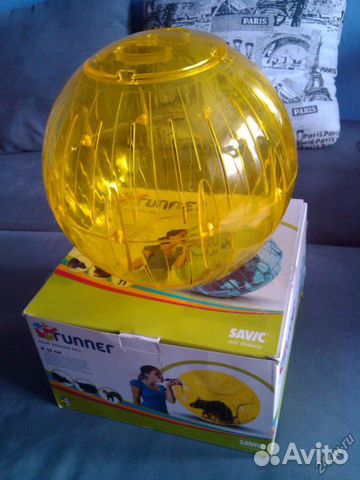 Все о гамаках и игрушках для ваших шиншилл |