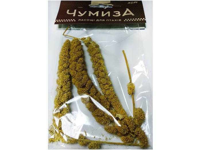 Чумиза для попугаев: общая информация, состав, полезные свойства