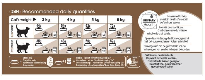Сколько раз кормить кошку — составляем распорядок кормления для сухого, влажного и натуральным корма