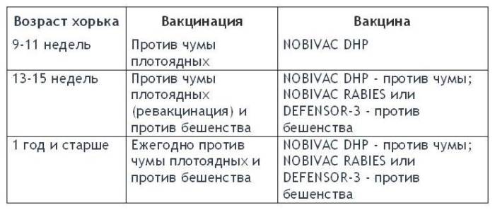 Прививки для кошек