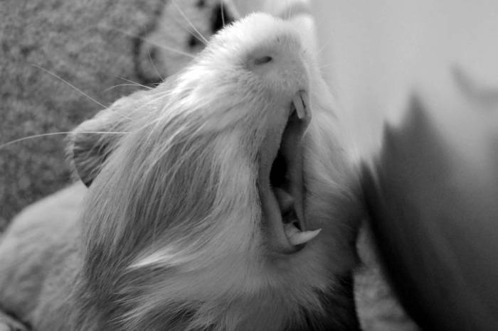 Вредные привычки у детей (грызть ногти, сосать палец и т.п.)