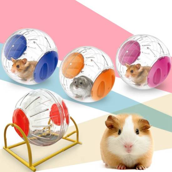 Шар для хомяка: назначение, правила использования и особенности изготовления своими руками