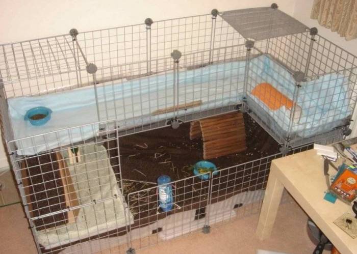 Пошаговая инструкция по изготовлению клетки для морской свинки своими руками