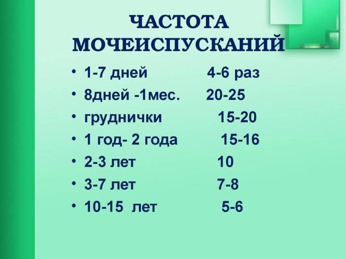 Сколько раз в день кот должен писать в норме, почему он редко ходит в туалет по-маленькому?