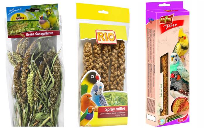 Сколько шариков сенегальского просо можно давать в день попугаю?