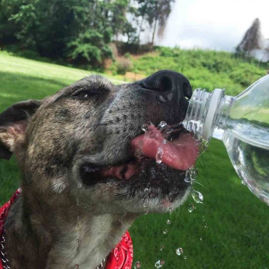 Аллергия на жару. когда лето перестает быть другом