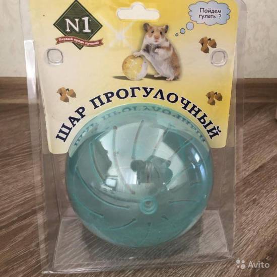 Прогулочный шар для хомяка: назначение, выбор и использование (фото)