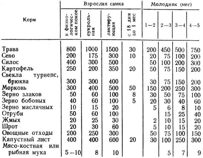 Можно ли кроликам давать сырой и вареный картофель, картофельные очистки