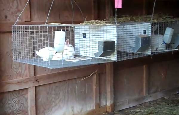 Изготавливаем бункерную кормушку для кроликов