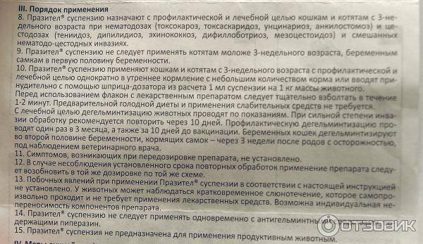 Пиперазин для кошек: дозировка и инструкция по применению, эффективность