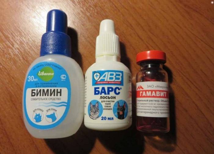 Слабительное для кошек: инструкция по лечению запора у кошки в домашних условиях