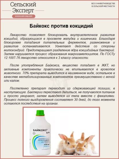 Как развести и пропоить кроликам йод: правильная схема