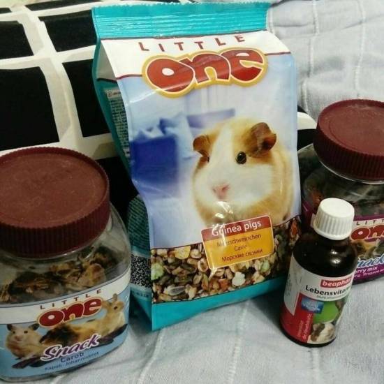 Как обеспечить морскую свинку необходимым количеством витамина с