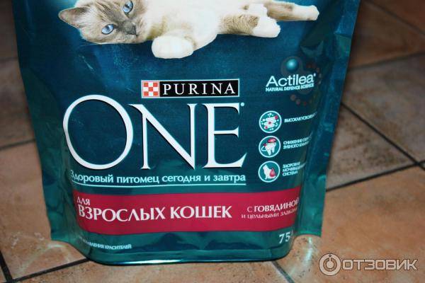 Корм для кошек «пурина ван» (purina one)