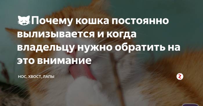 Зуд после полового акта – что делать?