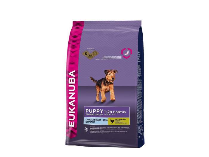 Топ-17 лучших гипоаллергенных кормов для собак — рейтинг 2021