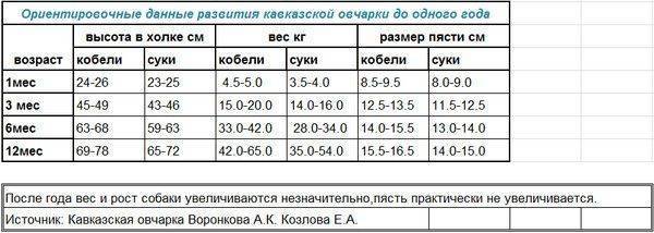 Вес щенка немецкой овчарки по месяцам с подробным описанием
