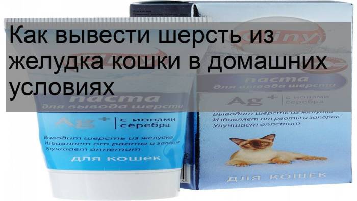 Выведение шерсти из желудка кошки и кота