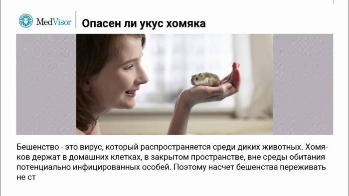 Реакции на ужаления насекомых - как проявляются и что делать?