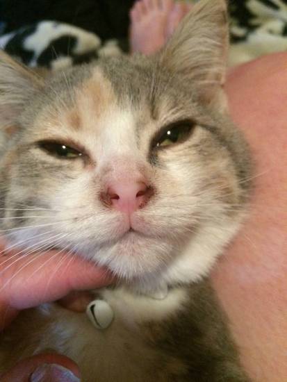 Желто-зеленые сопли у взрослого: что это и чем лечить | клиника «гармония»