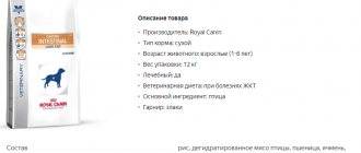 Что означает сильное урчание в животе у собаки: что нужно делать в таком случае