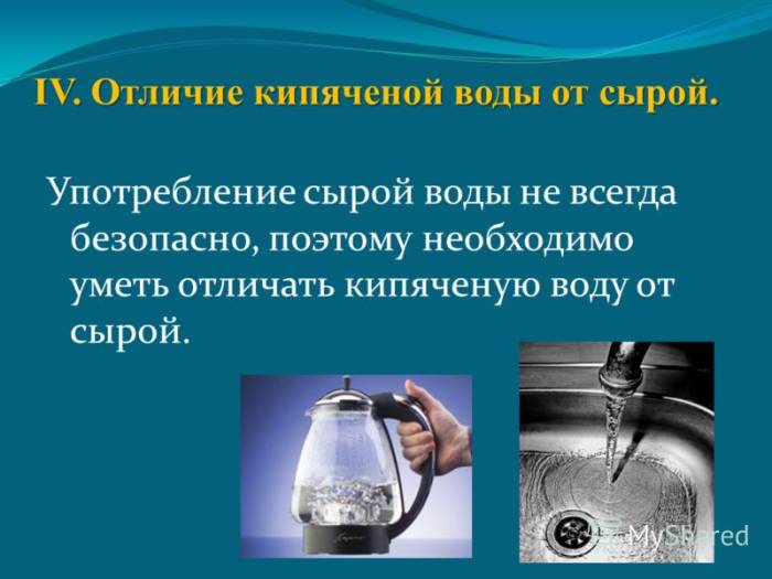 Нужна ли хомякам вода или значение воды для организма хомячков