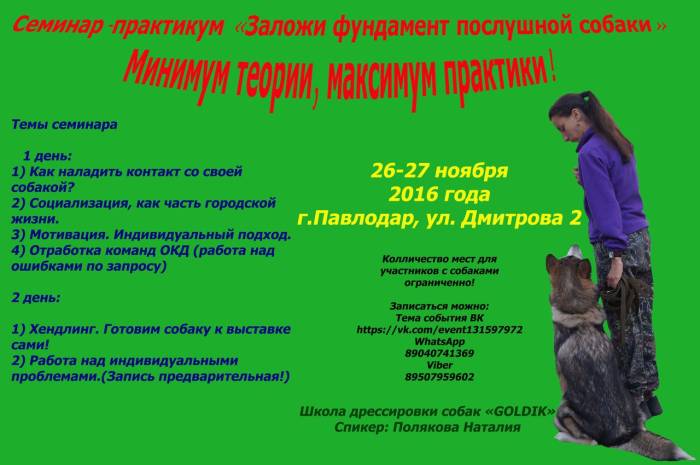 Как научить собаку давать лапу в домашних условиях