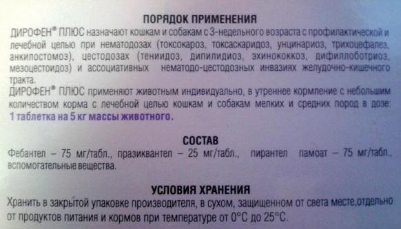 Глисты у котят - симптомы, признаки, методы лечения