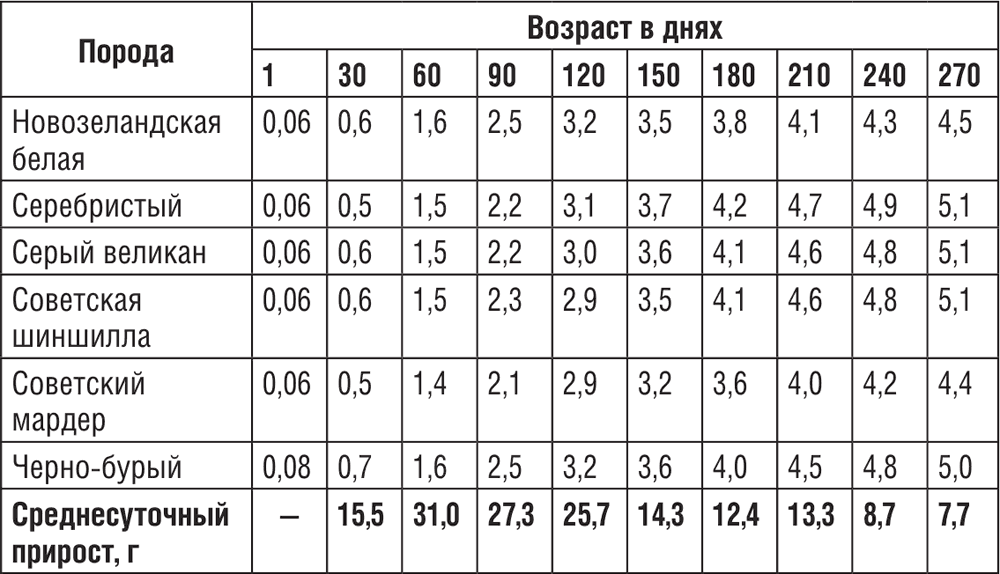 Вес кролика по месяцам: средний и максимальный для разных пород