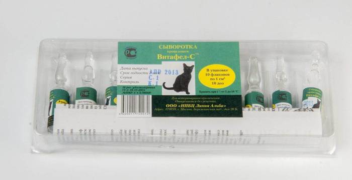 Витафел для кошек: инструкция, длительность терапии, особенности применения