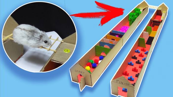 Домик для хомяка из картона своими руками, что можно сделать для хомяка: маленький домик, лабиринт, колесо, поделки и всякие штучки