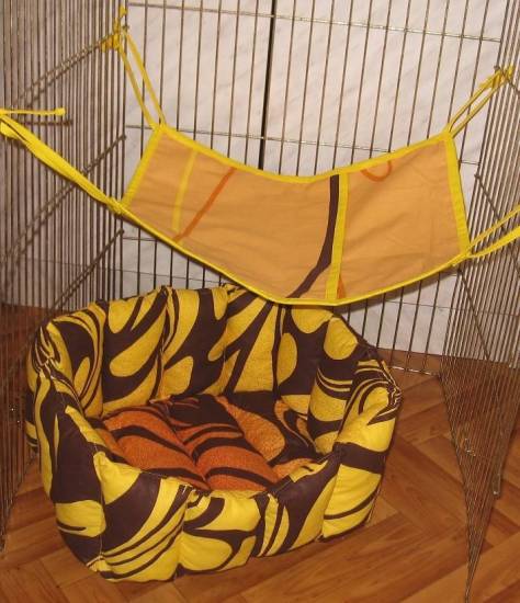 Как сделать комфортный гамак для своего хорька из подручных материалов - omvesti.com