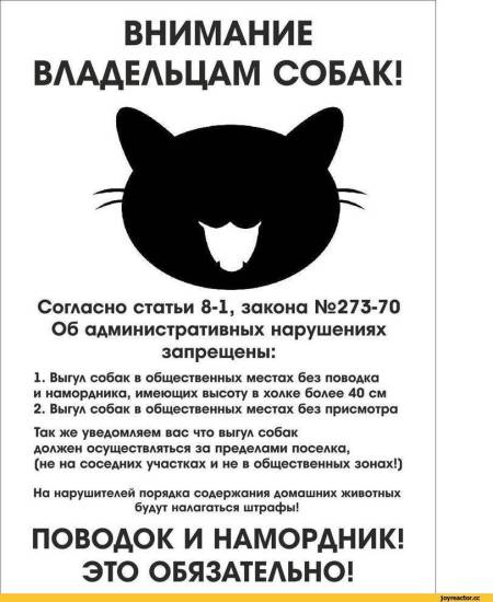 Правила выгула собак: закон в 2022 году в россии, штраф, запрещенные места, можно ли гулять без намордника и поводка в городе, в неположенном месте