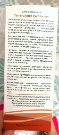 Гепатолюкс для кошек: описание, инструкция по применению, аналоги и отзывы о препарате