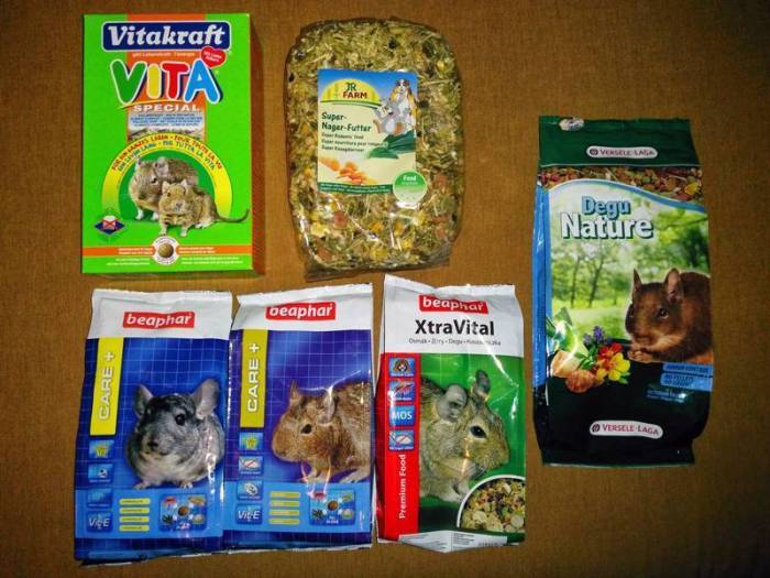 Как правильно кормить дегу