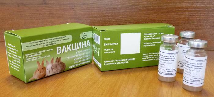 Геморрагическая болезнь (вгбк) у кроликов - симптомы, лечение, препараты, причины появления | наши лучшие друзья