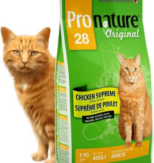 Обзор сухих кормов от бренда pronature holistic для котенка и взрослой кошки