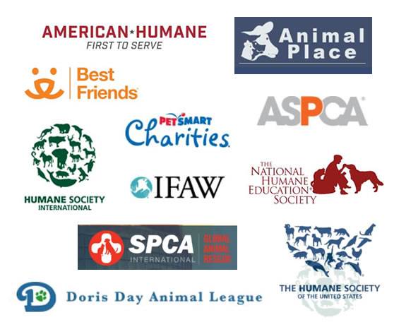 Passion, leadership and communication advancing animal welfare around the globe