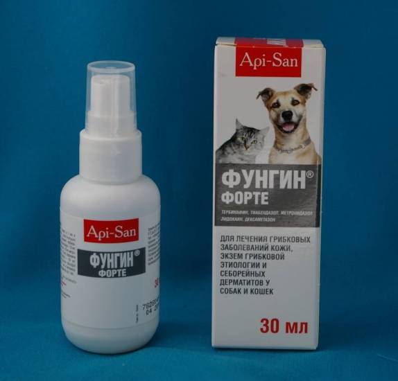 Лишай у собак: фото, лечение и опасность для человекаветлечебница рос-вет