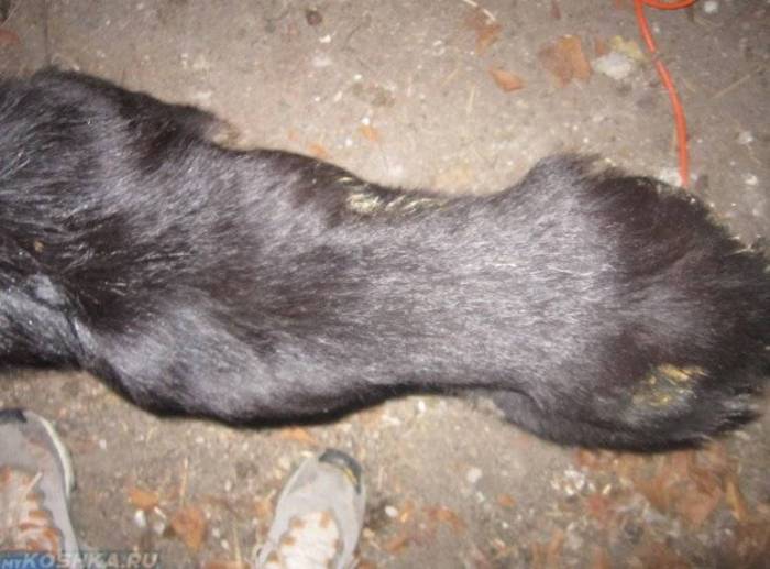 Авитаминоз: как понять, что организму не хватает витаминов